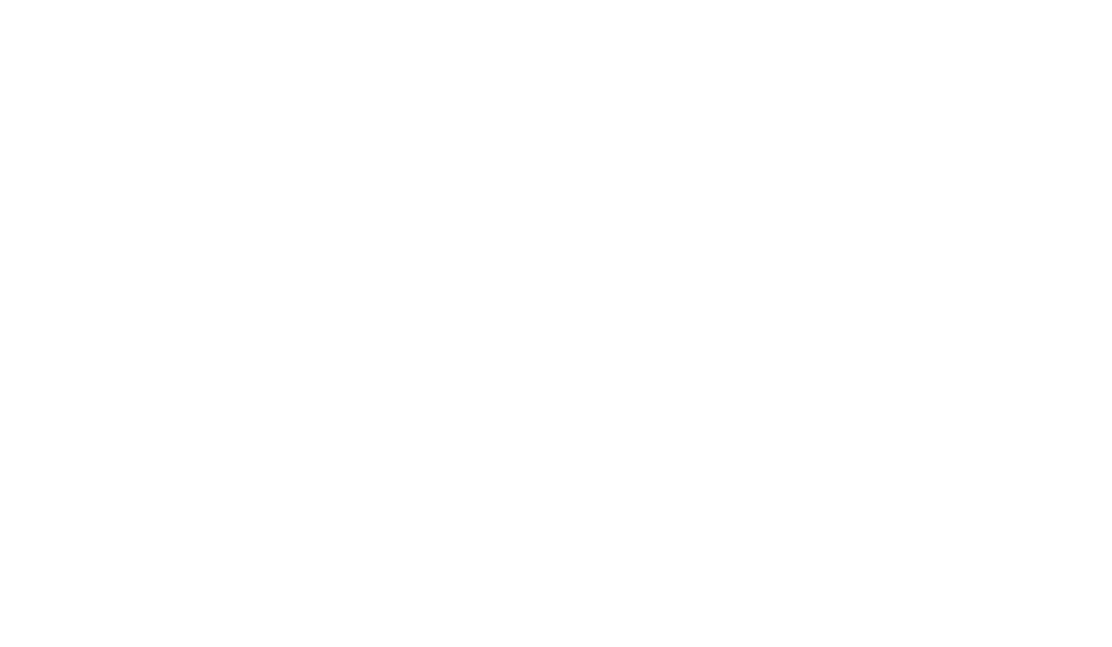 HUMAN ART